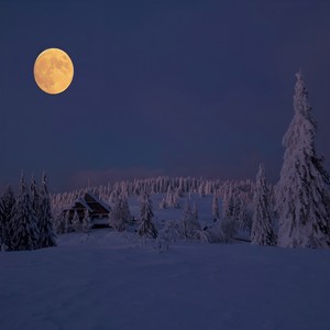 같이가자 (一起走吧)