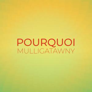 Pourquoi Mulligatawny