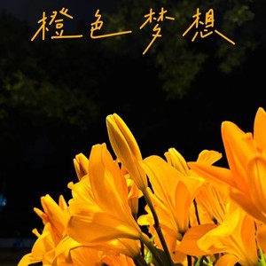 灵验 (Demo)