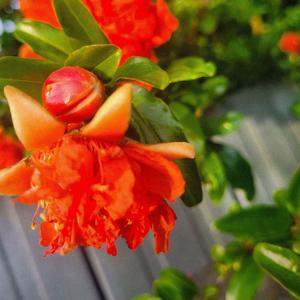 Kill for Me (feat. hovis) (Explicit)