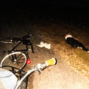 Alla här bryr sig (Explicit)