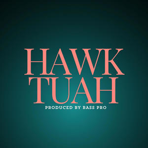 HAWK TUAH (SPIT ON THAT THANG)