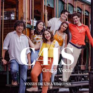 Um Girassol da Cor do Seu Cabelo