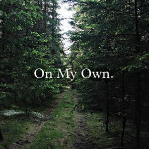 On My Own (feat. Yung Dre & Melly Fuego) (Explicit)