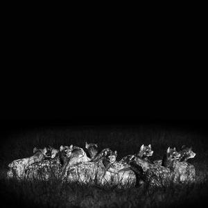 Lex Boogie from the Bronx - Phantom (Explicit)