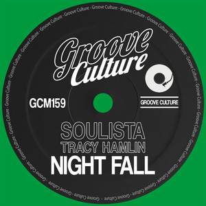 Night Fall (Instrumental Mix)
