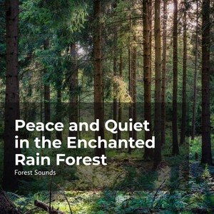 Wind and Chirping Birds