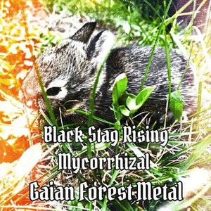 The Sound Of Consequence (Mycorrhizal and Black Stag Rising)