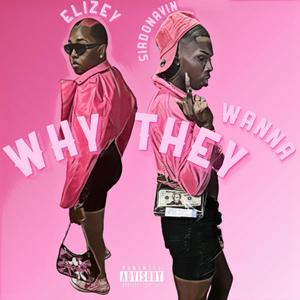 Why They Wanna (feat. Elizey) (REMIX|Explicit)