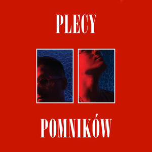 Plecy pomników