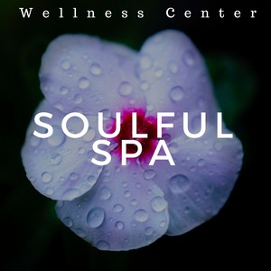 Soulful Spa: Wellness Center Relaxing Sounds for Sleep & Massage