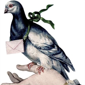 The Pigeon Post