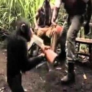 fukdisjob (feat. whotfisdae) (Explicit)