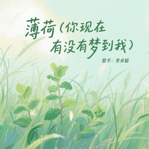 薄荷 (你最近有没有梦到我)-李卓毅