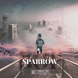 boeSparrow (Explicit)