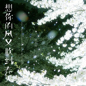 想你的风又吹到春天 (伴奏)