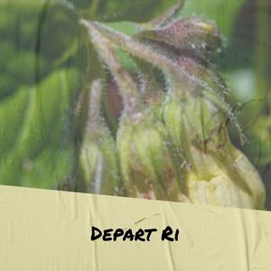 Depart Ri