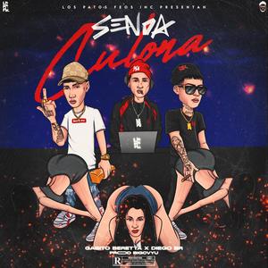Senda culona (feat. Diego BR & Big cvyu)