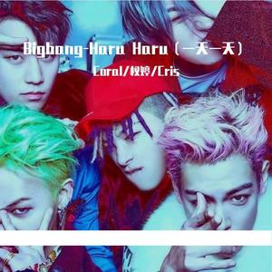 Bigbang-Haru Haru（一天一天）