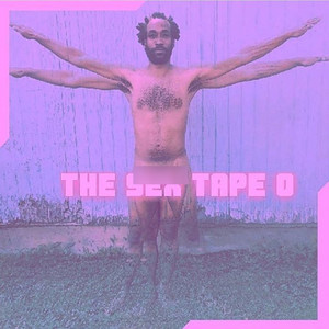 The Sex Tape 0 (Explicit)