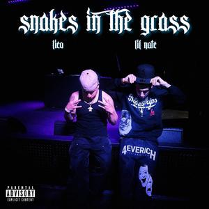 Snakes In The Grass (Explicit)