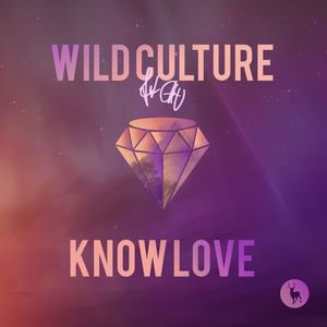 Know Love (feat. Chu) (Club Mix)