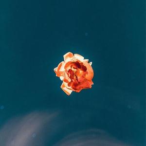 SPRING IN THE CLOUDS