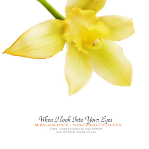 몽당연필 - 사진 속의 너와 나 (You and me in the photo)