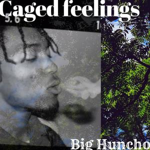 Caged Feelings (Explicit)