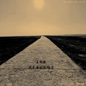 还是会偷偷难过合唱