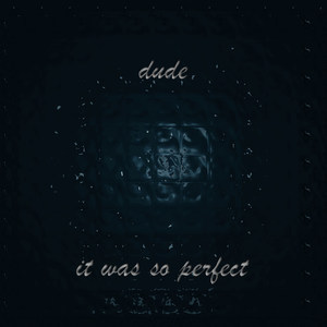 Dude, It Was so Perfect (Explicit)