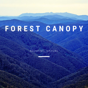 Rain From The Inside