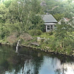 vil deg ikkje vondt (Explicit)