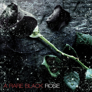 A Rare Black Rose (Explicit)