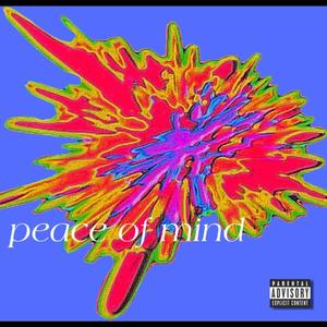 peace of mind (Explicit)