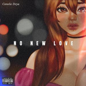 No New Love (Explicit)