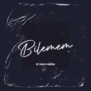 Bilemem (feat. Kasirga) [Remix]