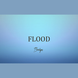 Flood