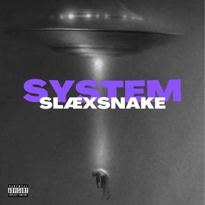 SYSTEM (feat. SLÆ) (Explicit)