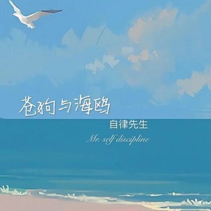 苍狗与海鸥