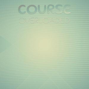 Porphyrin Metempsychose