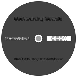 Electronic Deep House Spinner