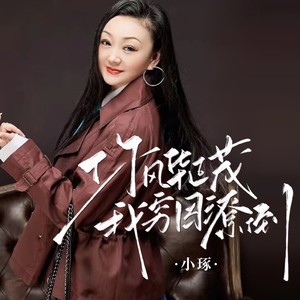 你风华正茂我穷困潦倒-小琢