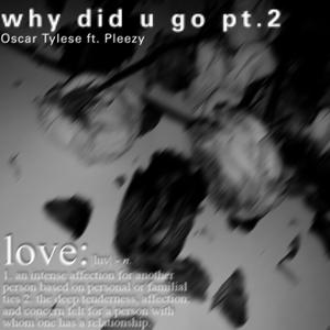why did u go pt.2 (feat. Pleezy)