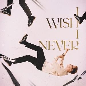 I Wish I Never