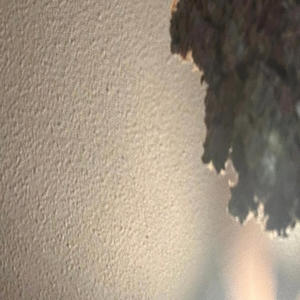 w i s h e s (Explicit)