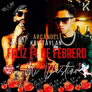 Mi Destino. (feat. Arcángel (IA))