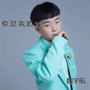 你是我的梦
