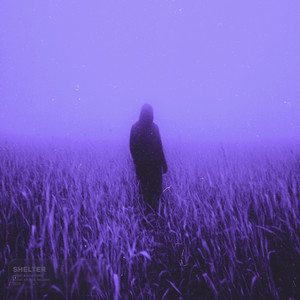 shelter (slowed + reverb)