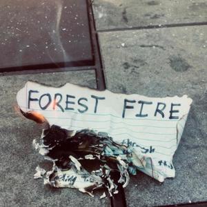 Forest Fire (2016)